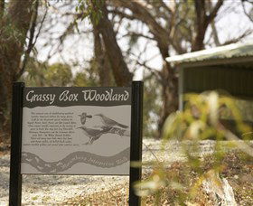 Coolamon NSW Darwin Tourism