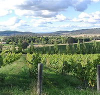 Sassy Wines - Darwin Tourism