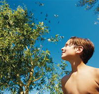 Birdwatching on Keswick Island - Darwin Tourism