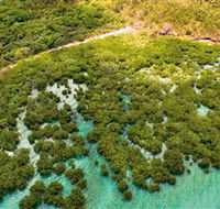 The Singapore Shipwreck Dive Site - Keswick Island - Darwin Tourism