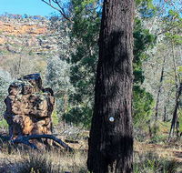 Eualdrie walking track - Darwin Tourism