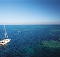 Bait Reef and Garys Lagoon Dive Site - Darwin Tourism