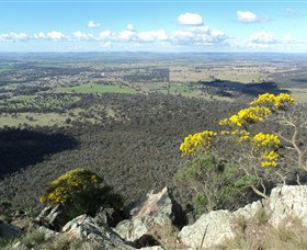 The Rock Nature Reserve - Darwin Tourism 4