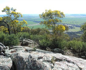 The Rock Nature Reserve - Darwin Tourism 6