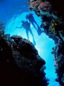 Caves And Canyons Dive Site - Darwin Tourism 0