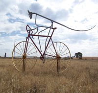 Animals on Bikes - Darwin Tourism