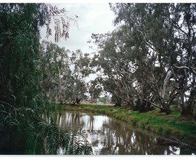 Munyabla NSW Darwin Tourism
