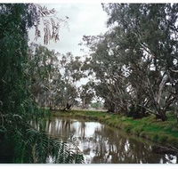 Henty Government Dam Nature Reserve - Darwin Tourism