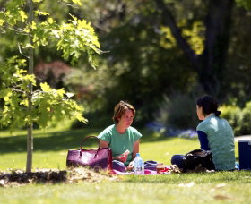 Botanic Gardens Wagga Wagga - Darwin Tourism 0