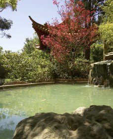 Botanic Gardens Wagga Wagga - Darwin Tourism 2