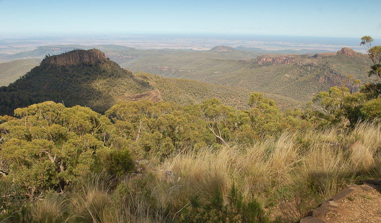 Kaputar NSW Darwin Tourism