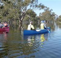 Doodle Cooma Swamp - Darwin Tourism