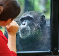 The Rockhampton Zoo - Darwin Tourism