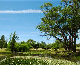 Burrumbuttock ACT Darwin Tourism