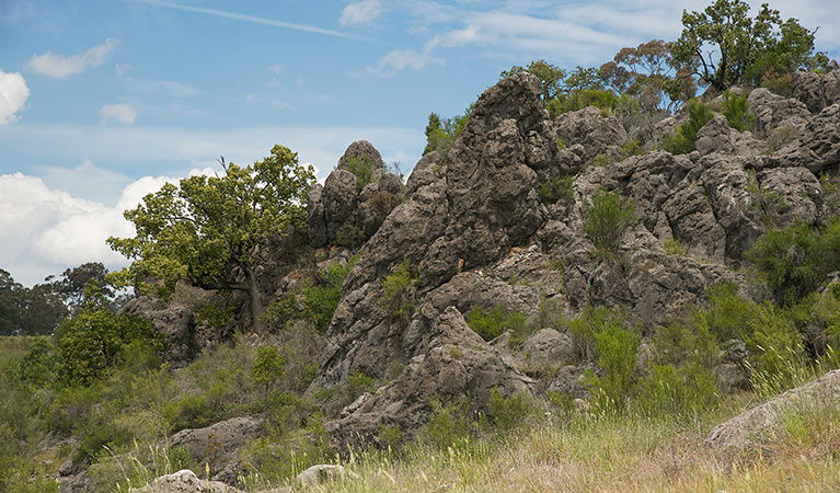 Lidster NSW Darwin Tourism