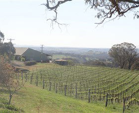 Cargo Road Wines - Darwin Tourism 1