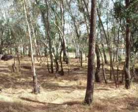 Chiltern-Mt Pilot National Park - Darwin Tourism 0