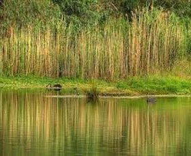 Wonga Wetlands - Darwin Tourism 2