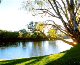 Albury - Murray River Precinct - Darwin Tourism 0