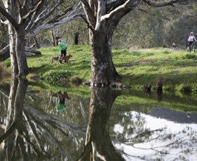 Albury - Murray River Precinct - Darwin Tourism 3