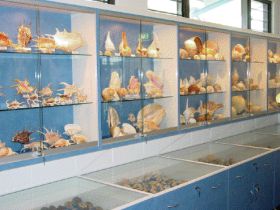 Shell World Yeppoon - Darwin Tourism 1