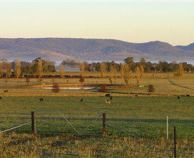 Holbrook NSW Darwin Tourism