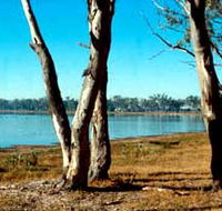 Lake Broadwater Conservation Park - Darwin Tourism