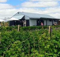 Ravens Creek Farm - Darwin Tourism
