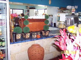 Warwicks Gardens Galore - Darwin Tourism 2