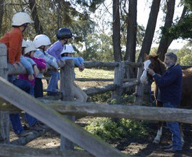 Harlow Park Horse Riding - Darwin Tourism 0