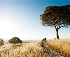 Canberra Centenary Trail - Darwin Tourism 1