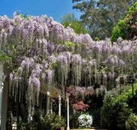 Nooroo Gardens - Darwin Tourism
