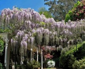 Nooroo Gardens - Darwin Tourism 0