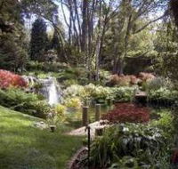 Windyridge Garden Mount Wilson - Darwin Tourism
