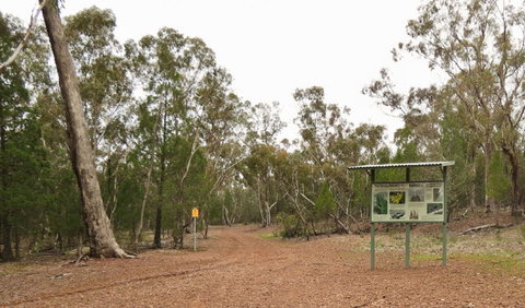 Little Llangothlin Picnic Area - Darwin Tourism 2