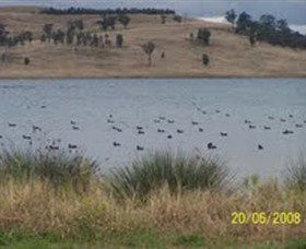 Lake Liddell Recreation Area - Darwin Tourism 0