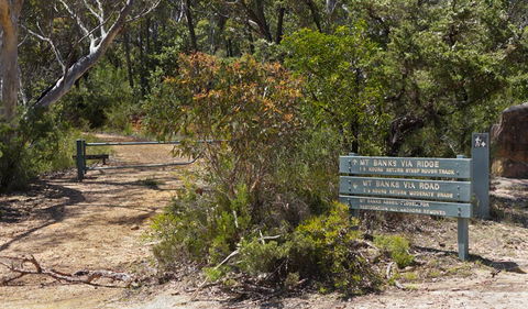 Mount Banks Road Cycle Route - Darwin Tourism 1