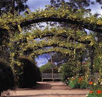 Blue Mountains Botanic Garden - Darwin Tourism