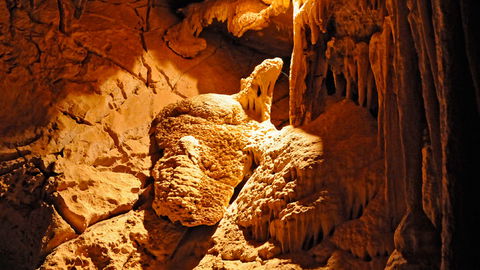 Wombeyan Karst Conservation Reserve - Darwin Tourism 2