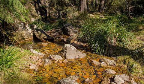 Wombeyan Waterfall Walking Track - Darwin Tourism 1