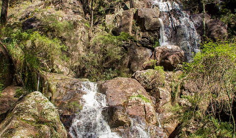 Wombeyan Waterfall Walking Track - Darwin Tourism 3