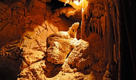 Fig Tree Cave - Darwin Tourism 0