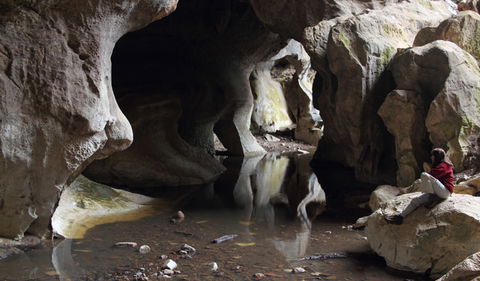 Fig Tree Cave - Darwin Tourism 2