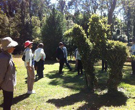 Wildwood Garden - Darwin Tourism 3