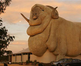 Big Merino - Darwin Tourism 3