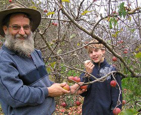 Pine Crest Orchard - Darwin Tourism 0