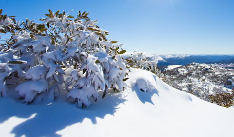 Perisher - Darwin Tourism 3