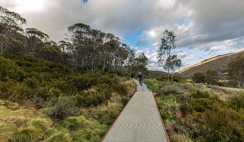 Thredbo Valley Track - Darwin Tourism 0