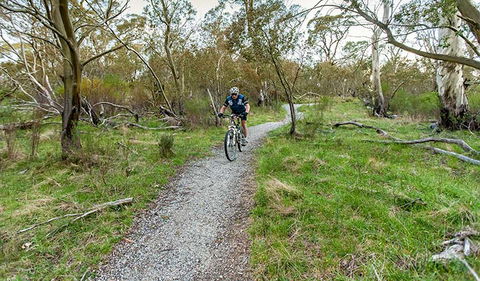 Thredbo Valley Track - Darwin Tourism 1