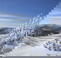 Rock Creek snowshoe track - Darwin Tourism